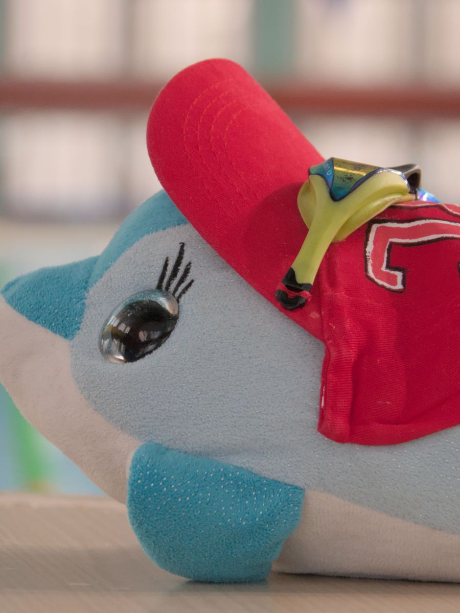 🏆 ¡Otro sábado histórico para el CN Bahía de&nbsp;Cádiz!